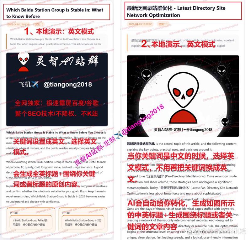 站群程序的崛起与挑战
